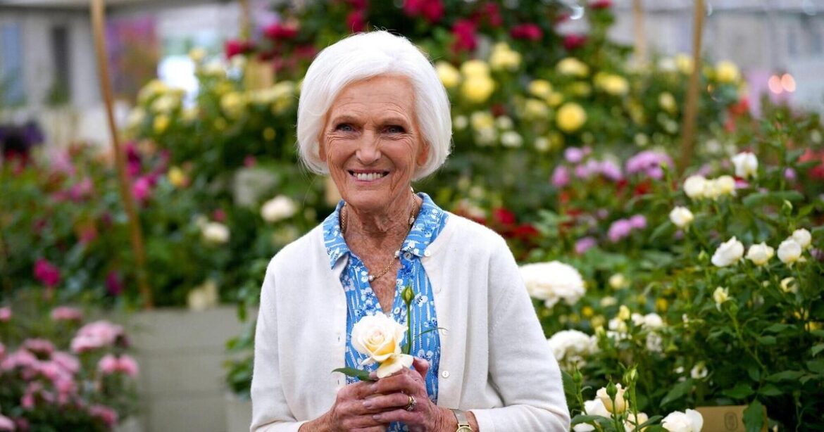 'My garden is a great solace and a place I love to be'