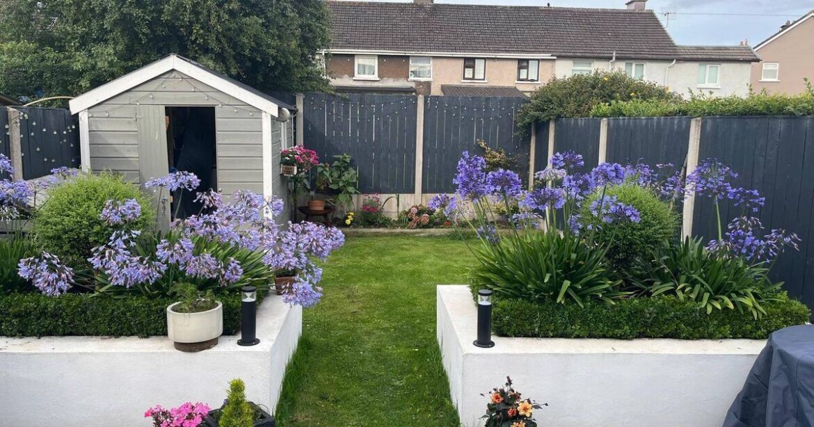 No need for AI to enhance the garden at this €450k Church Road home No need for AI to enhance the garden at this €450k Church Road home