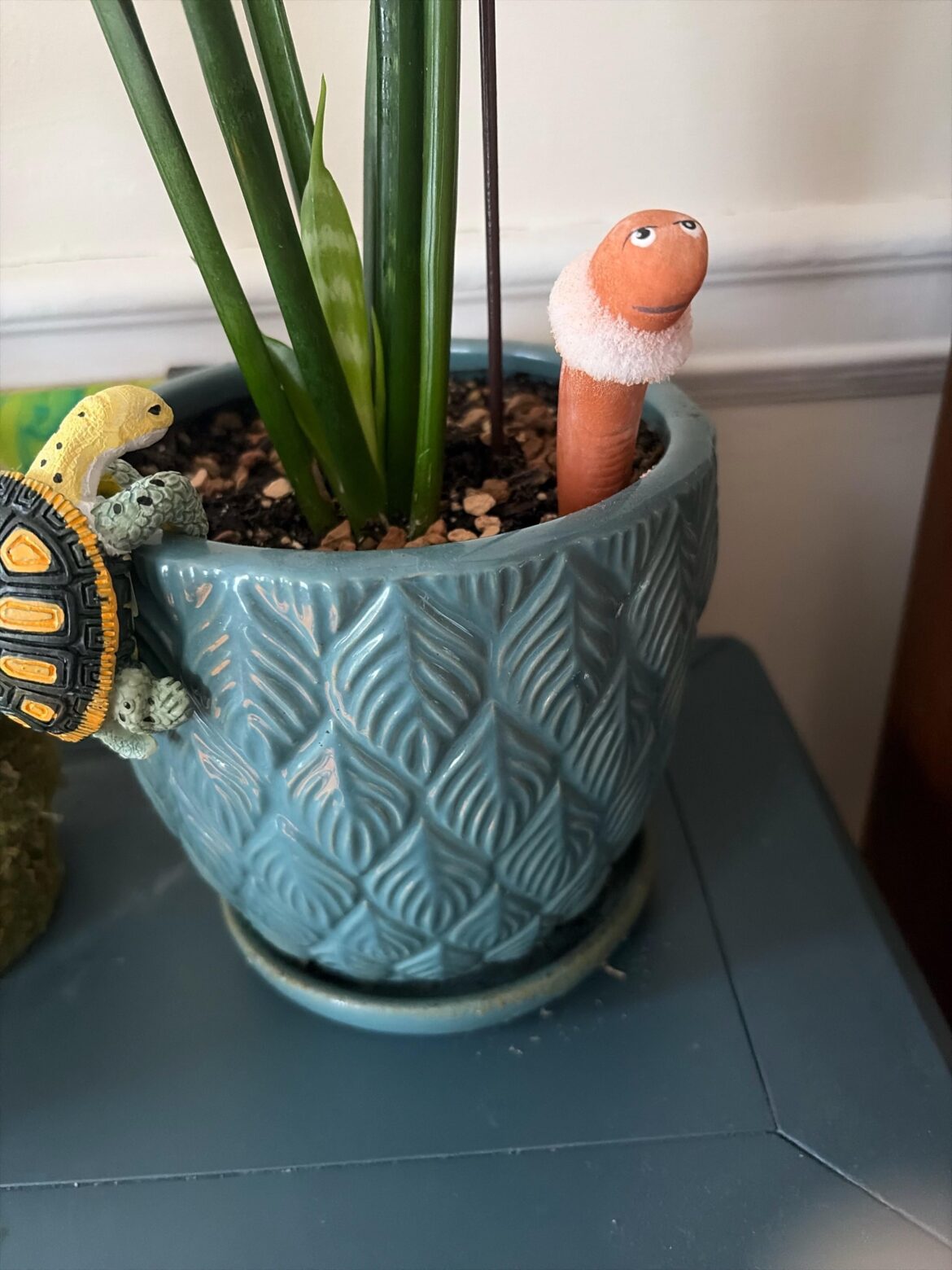 What is this white stuff? What is this white stuff?