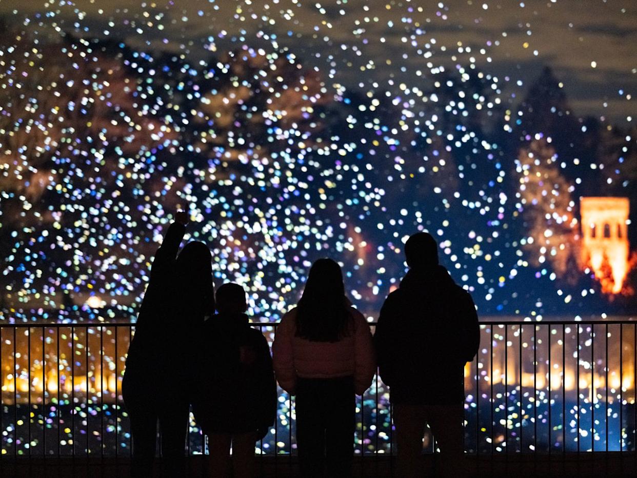 Credit: Daniel Traub