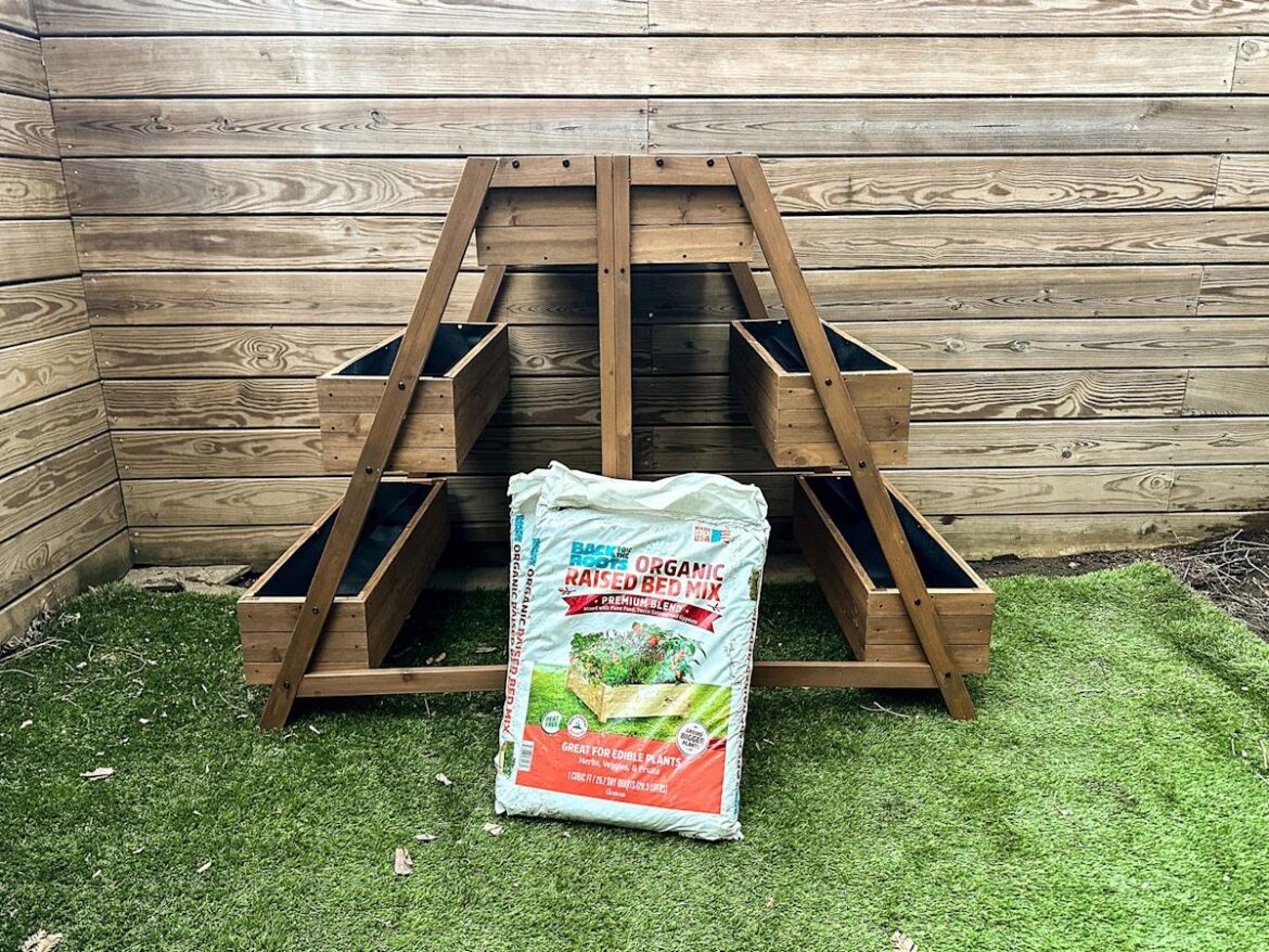 I Bought a Tiered Planter Too Early This Year—Here’s What Happened