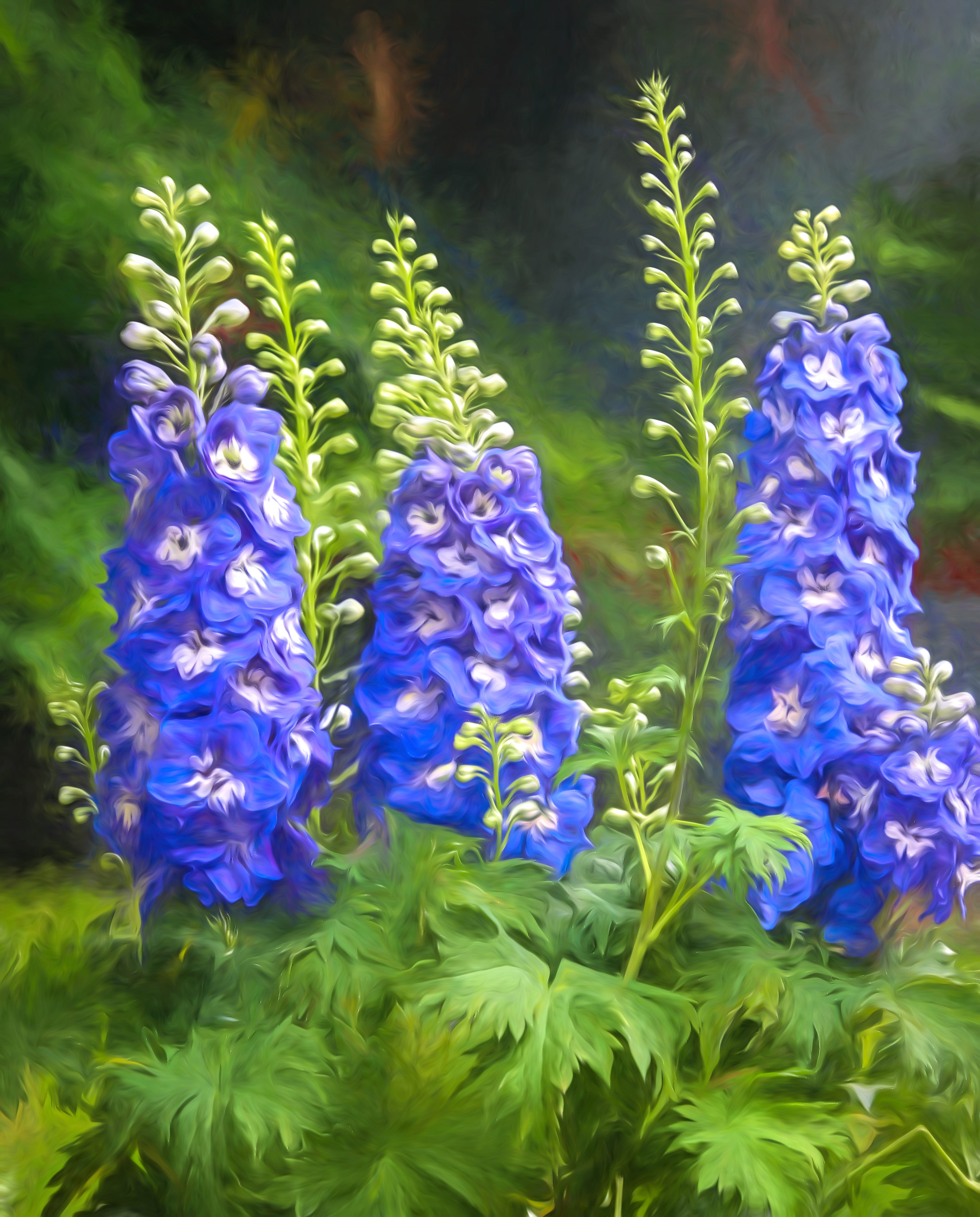 sky blue delphinium flowers in a painterly garden