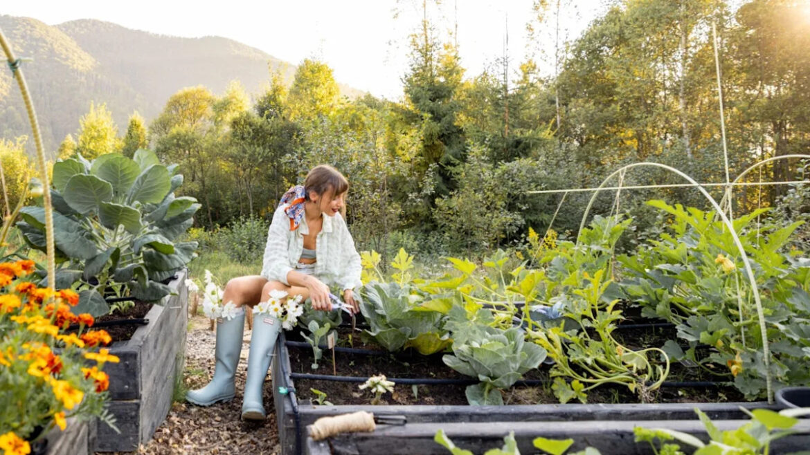 9 Natural Pest Control Methods for Backyard Gardens That Actually Work Yahoo lifestyle home