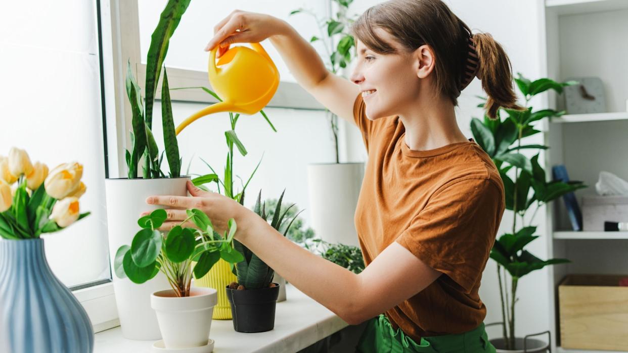 Young woman is tending her plants at home, watering them with a yellow watering can. She is smiling and enjoying taking care of her houseplants