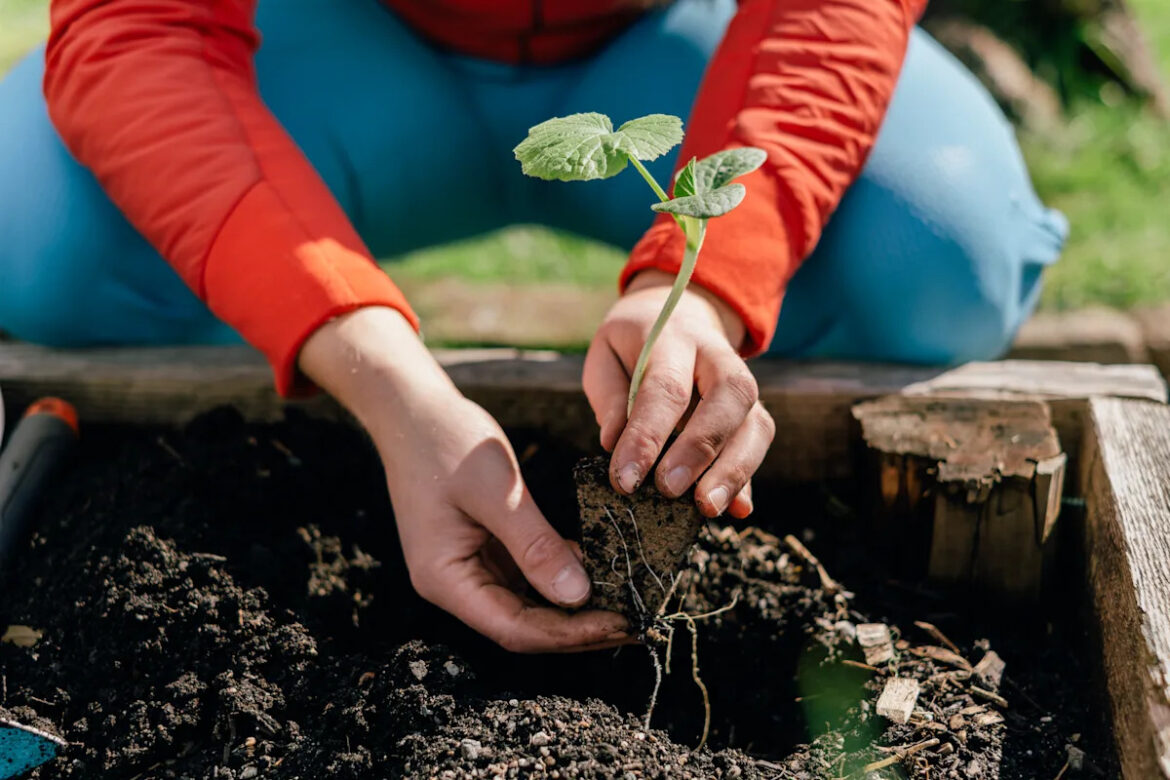 20 of the best Amazon Canada lawn and garden deals to shop before the Big Spring Sale — including a mini chainsaw for 44% off, patio furniture for $110 off and more