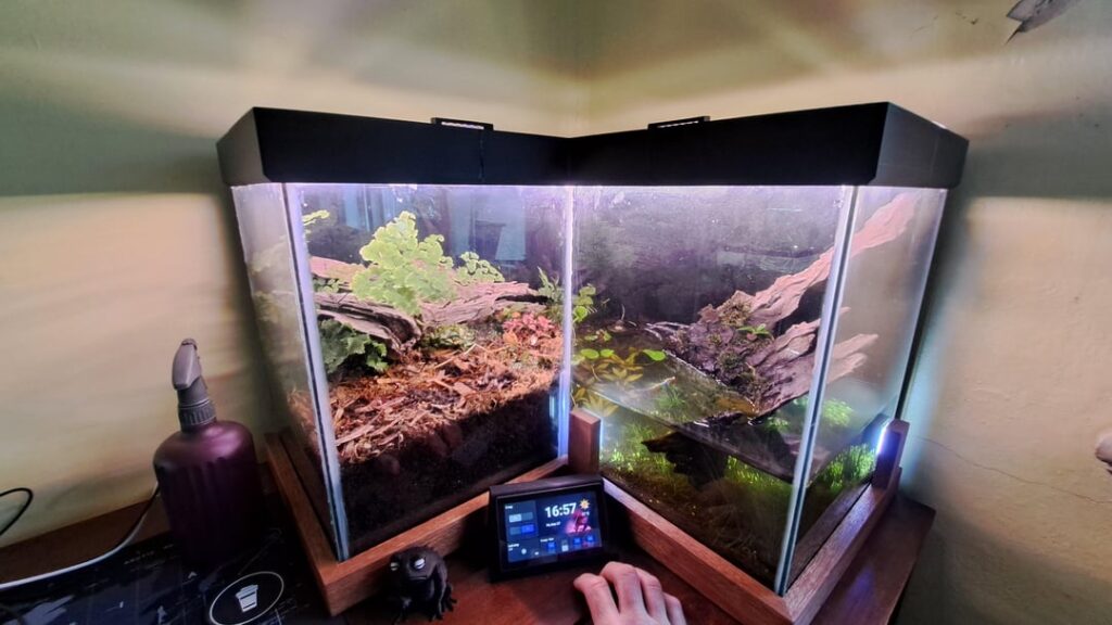 Second attempt at making a custom tank, inverted corner with half land half water.
