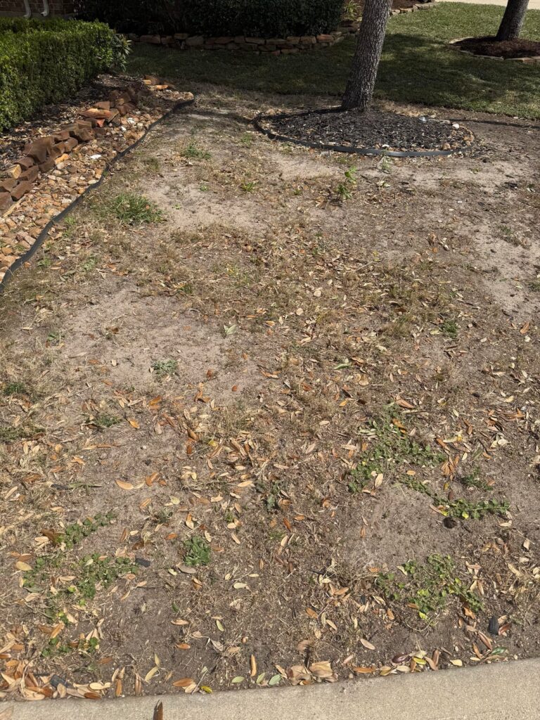 Help! What should I do first ? Katy, Tx