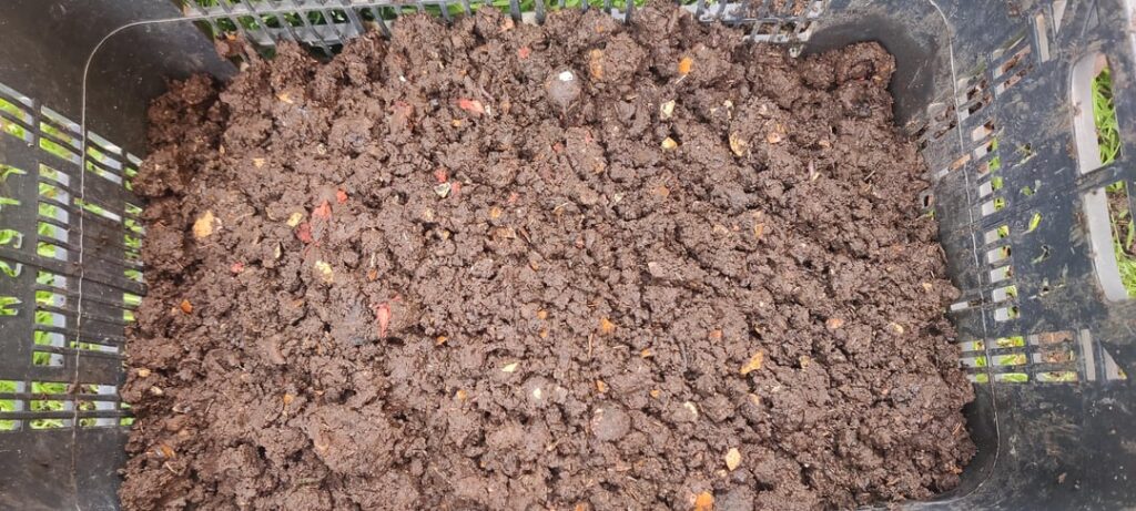 Is this compost not ready yet, or is it just too wet (from rain)?