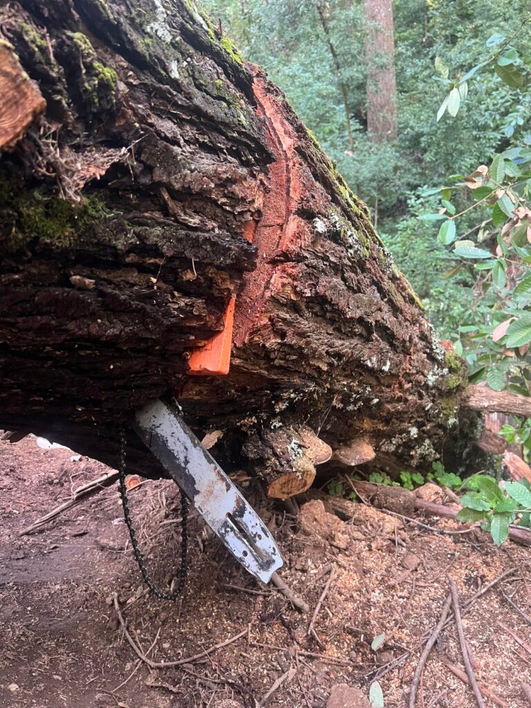 What would have been the right way to cut this? What would have been the right way to cut this?