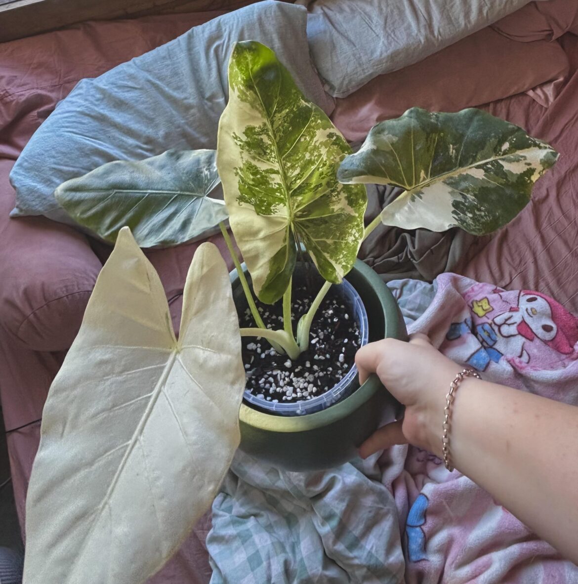 please help!