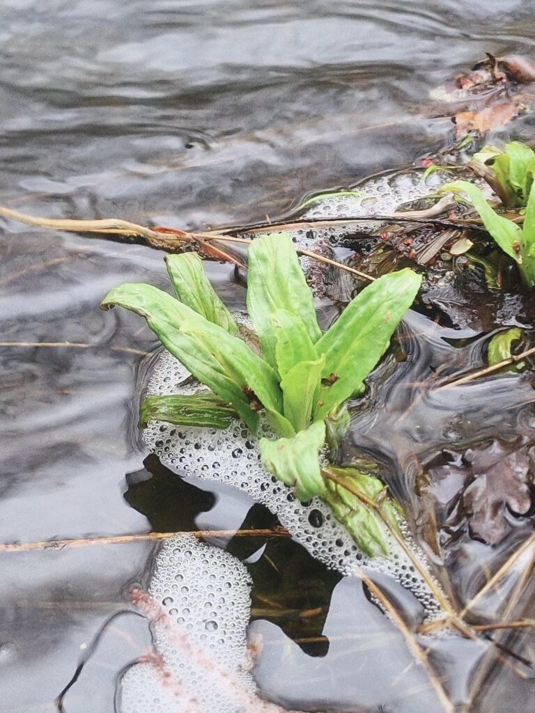 Anyone know what that is? Anyone know what that is?