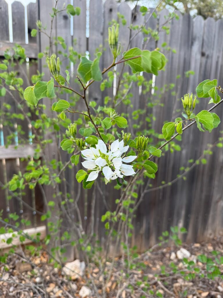 The show is about to begin ✨