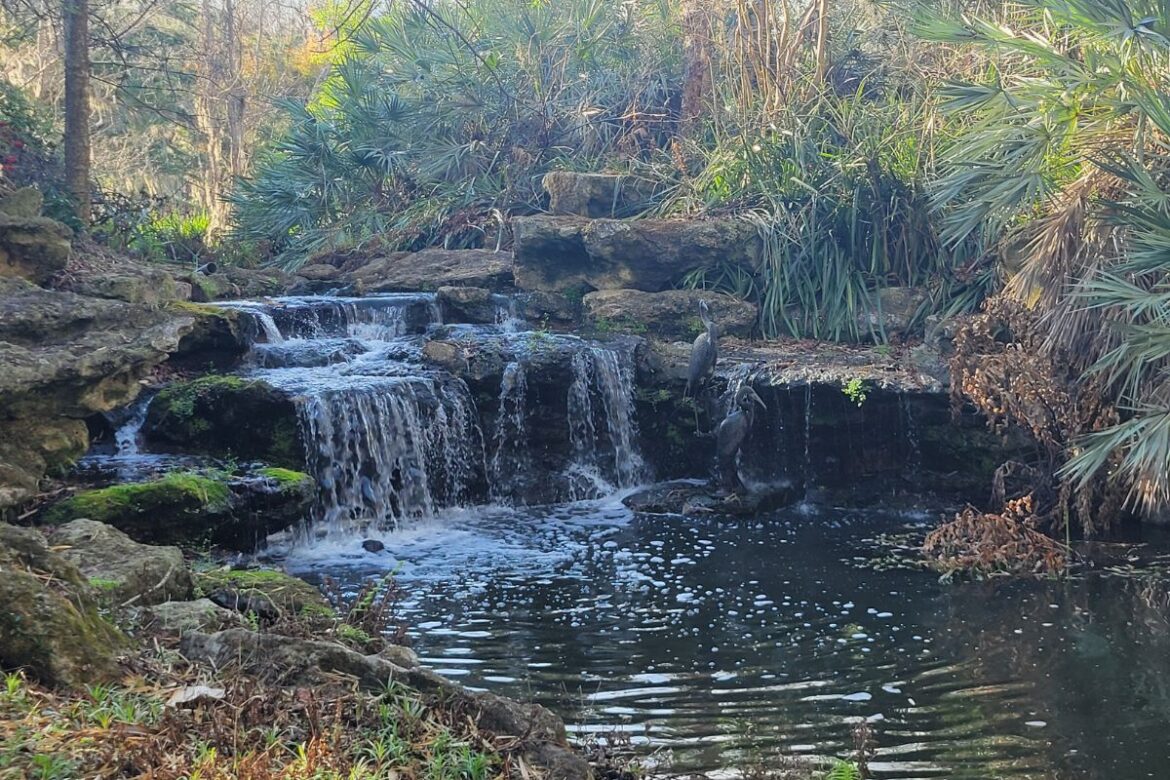 Petals, Paths and Peaceful Views: Botanical Gardens Worth Exploring in North Central Florida Petals, Paths and Peaceful Views: Botanical Gardens Worth Exploring in North Central Florida