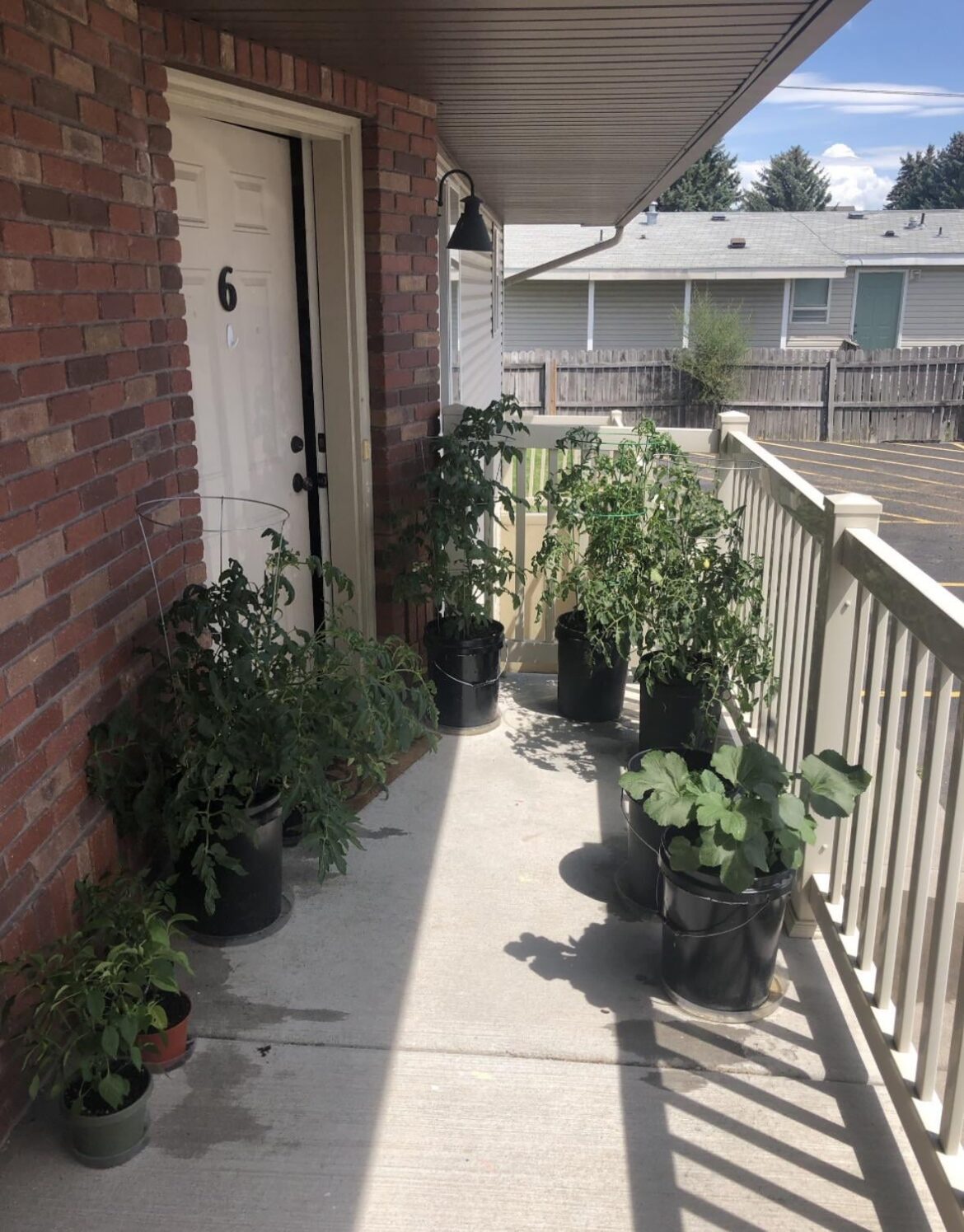 5 gallon bucket garden