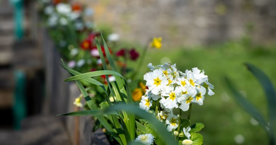 Ideas to make the most of our green spaces
