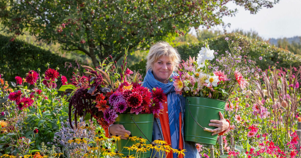 Five top garden flowers to grow for cutting and how to make them last in a vase 