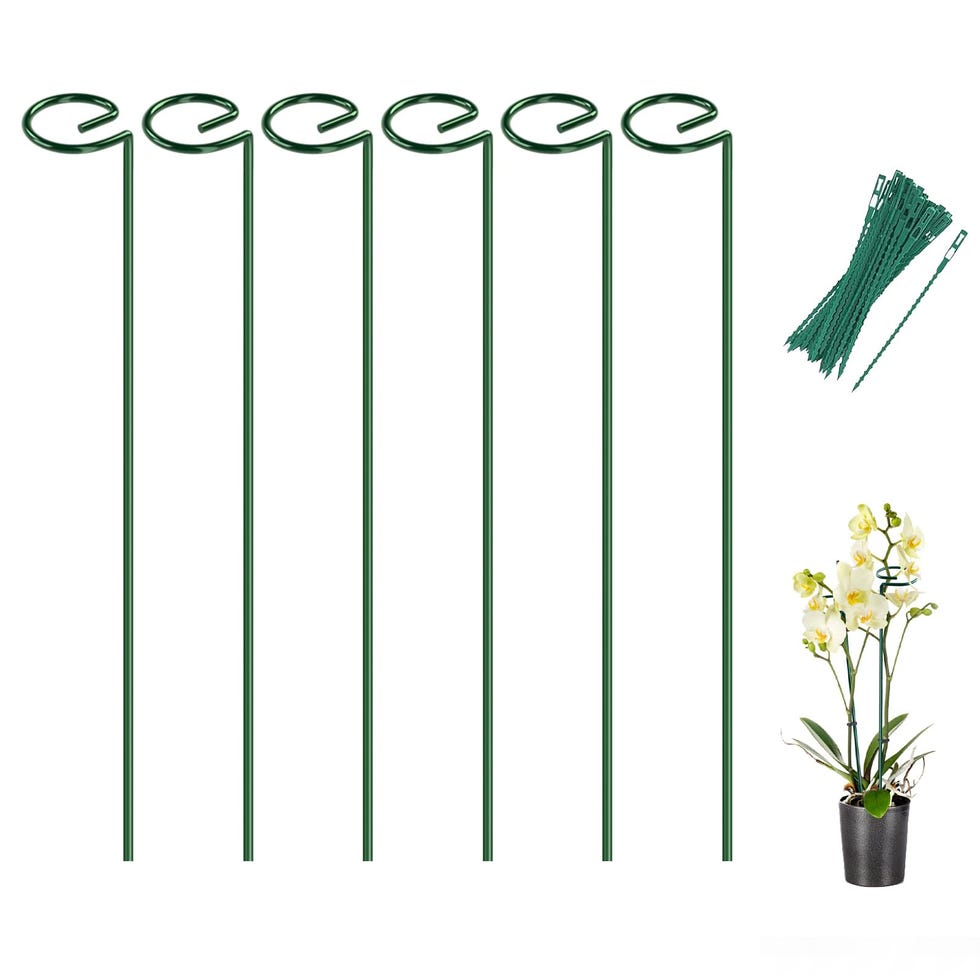 6-Pack Plant Stakes