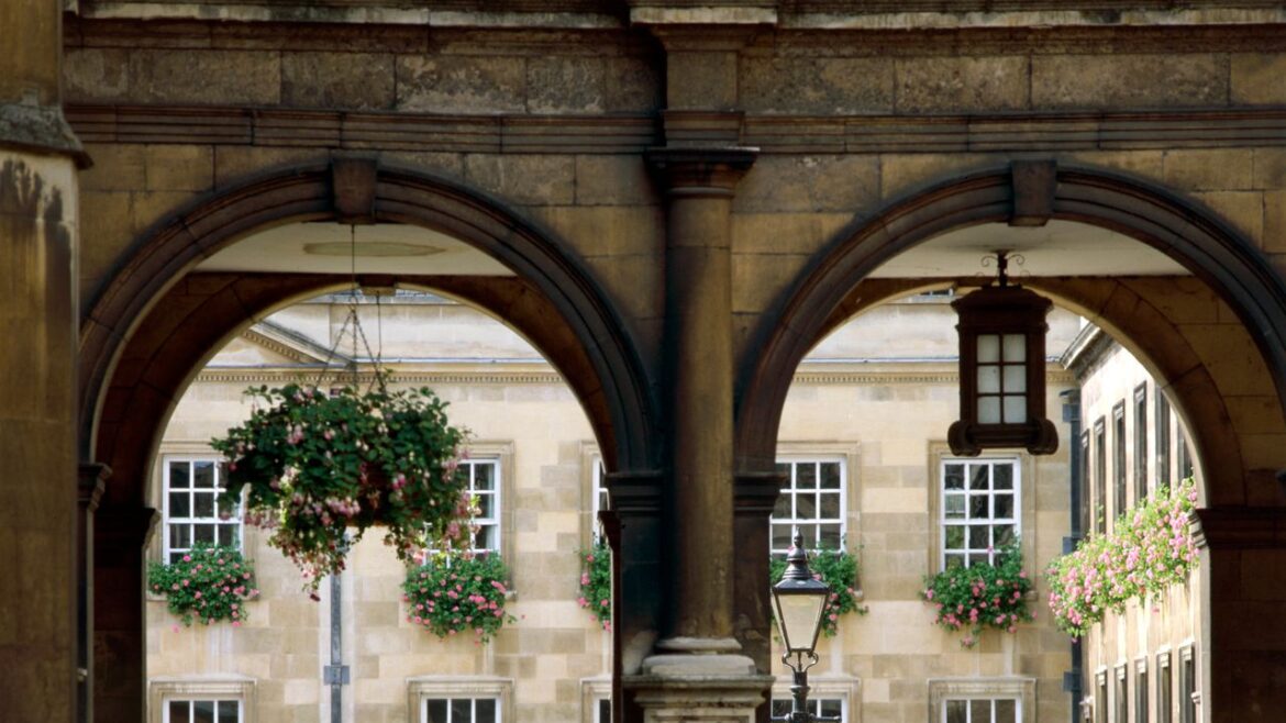 How to plant a hanging basket