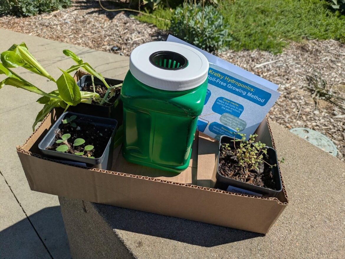 My first kit.  Let's see if I can keep 1 thing growing.