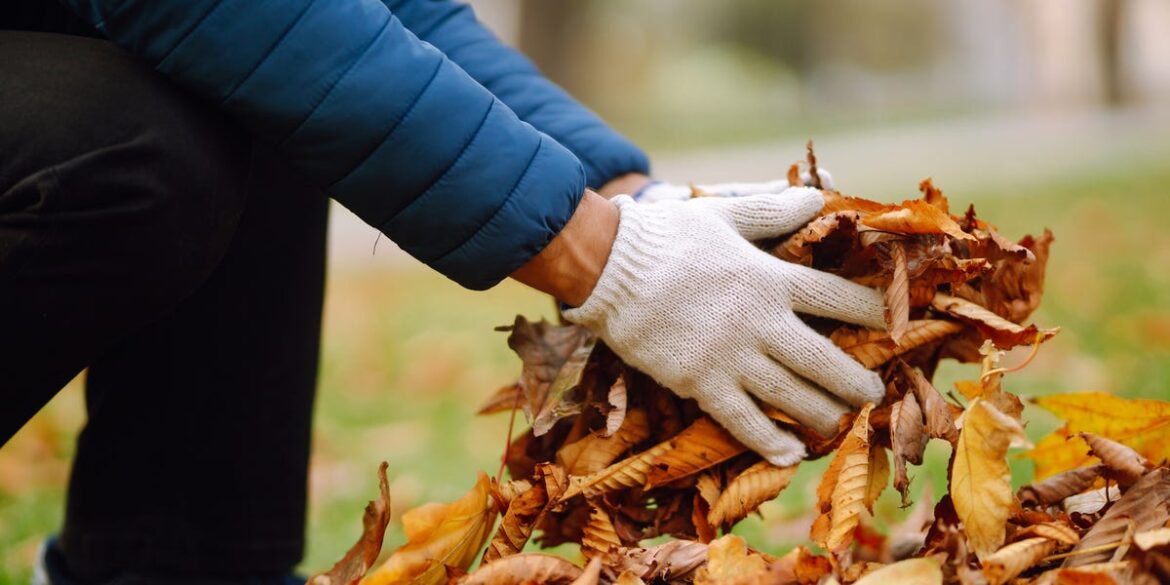 How Fallen Leaves Benefit Your Yard and Garden, According to an Expert How Fallen Leaves Benefit Your Yard and Garden, According to an Expert