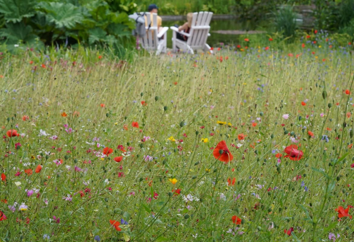 Photo by picture alliance on Getty Images