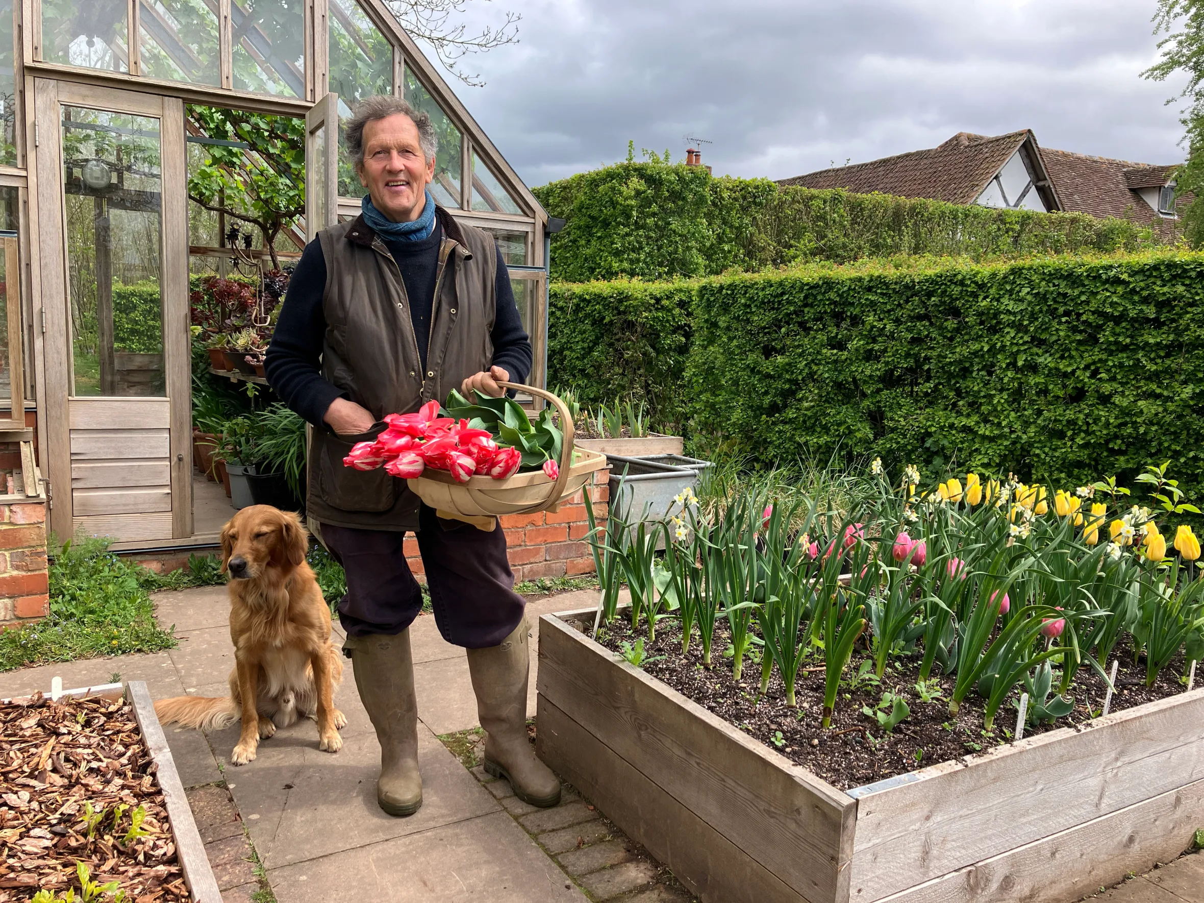 Monty Don and his dog Ned at Longmeadow, with Monty holding a basket of red tulips and standing by a raised garden bed.