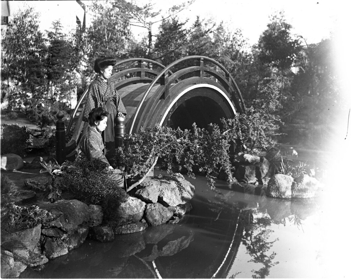 Balboa Park’s cherry trees and tea garden