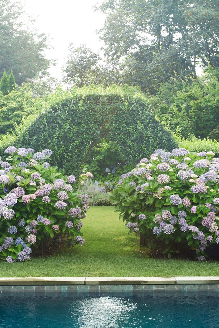 pool garden