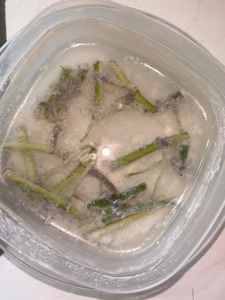 What should I do? (Pls be kind) What should I do? (Pls be kind)