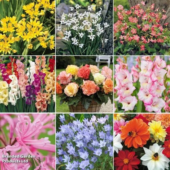 8 plants people regret putting in their gardens