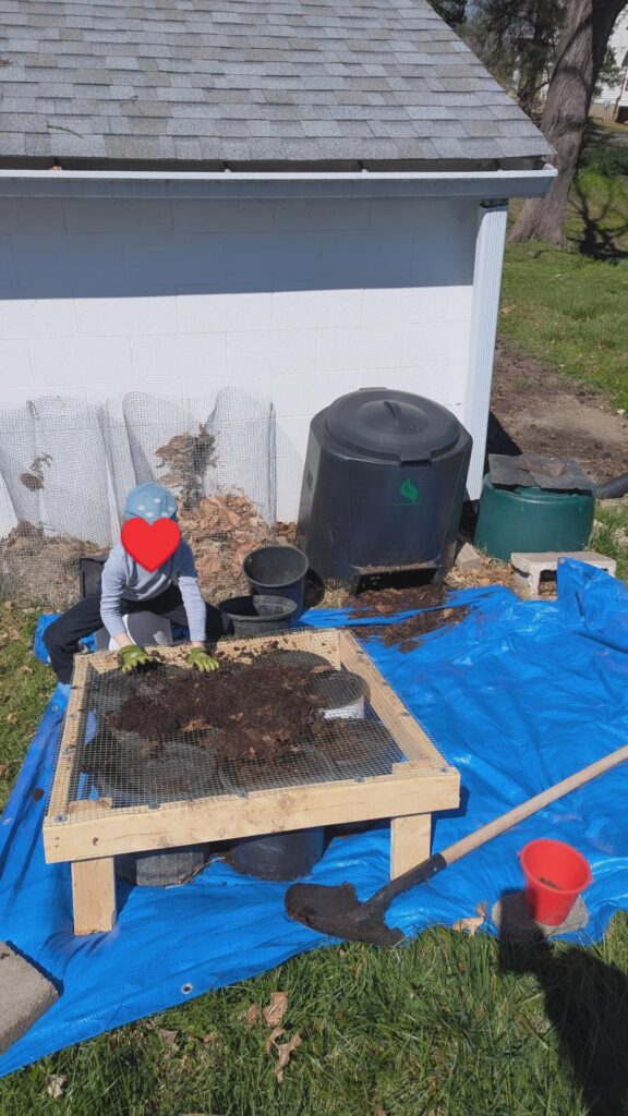 First compost harvest with my 5yo!
