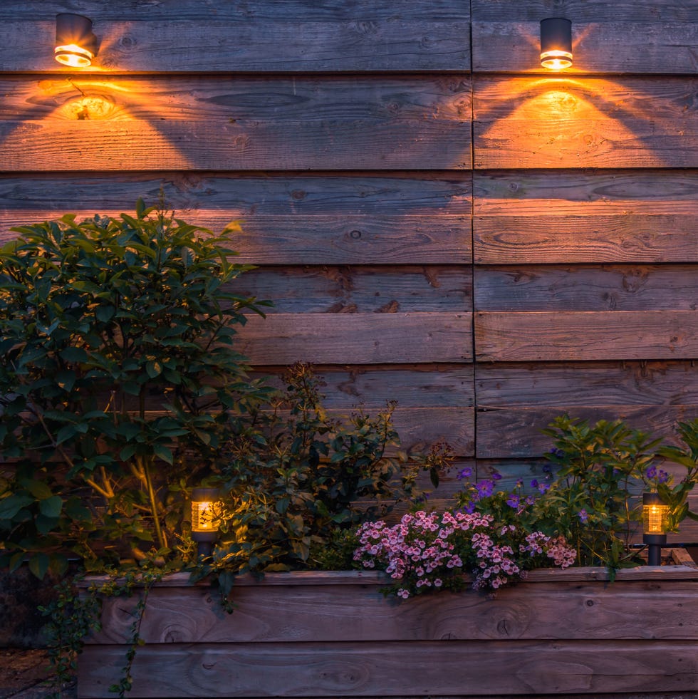solar powered outdoor lighting illuminating a garden with flowers and plants.