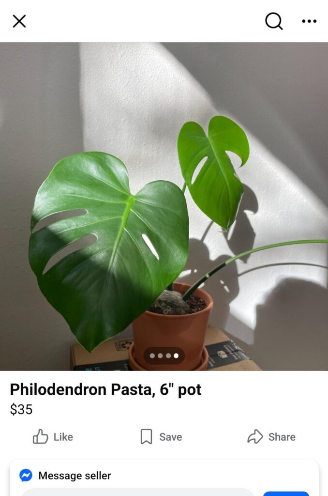 Mmm pasta 😋 anyone have any recipes??