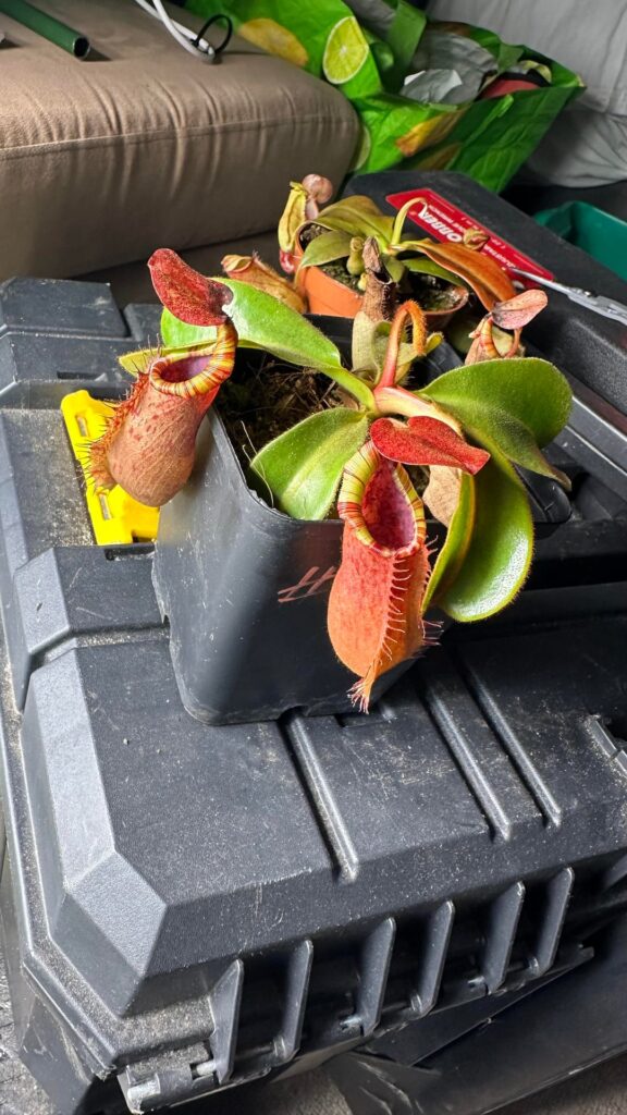 Today’s haul 😬