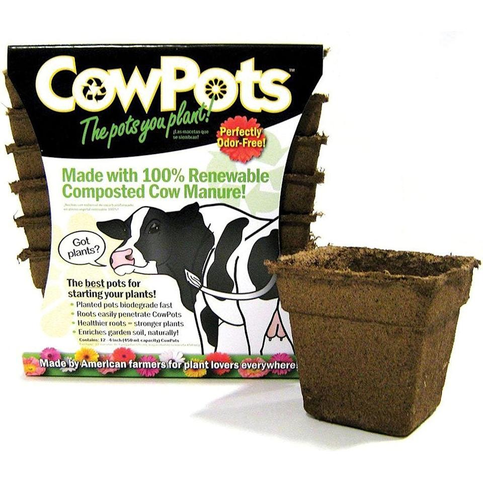 Amazon Has the Gardening Tools You Need for Spring