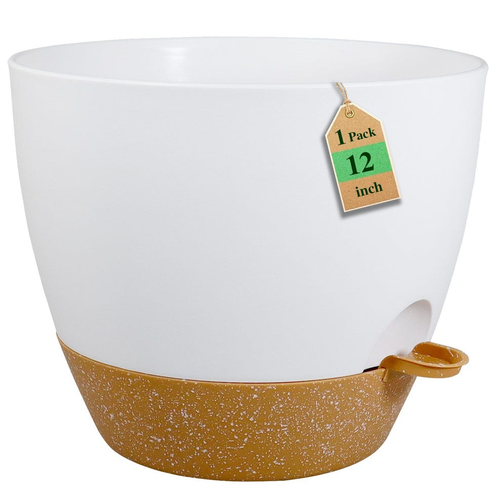 12-Inch Self Watering Pot