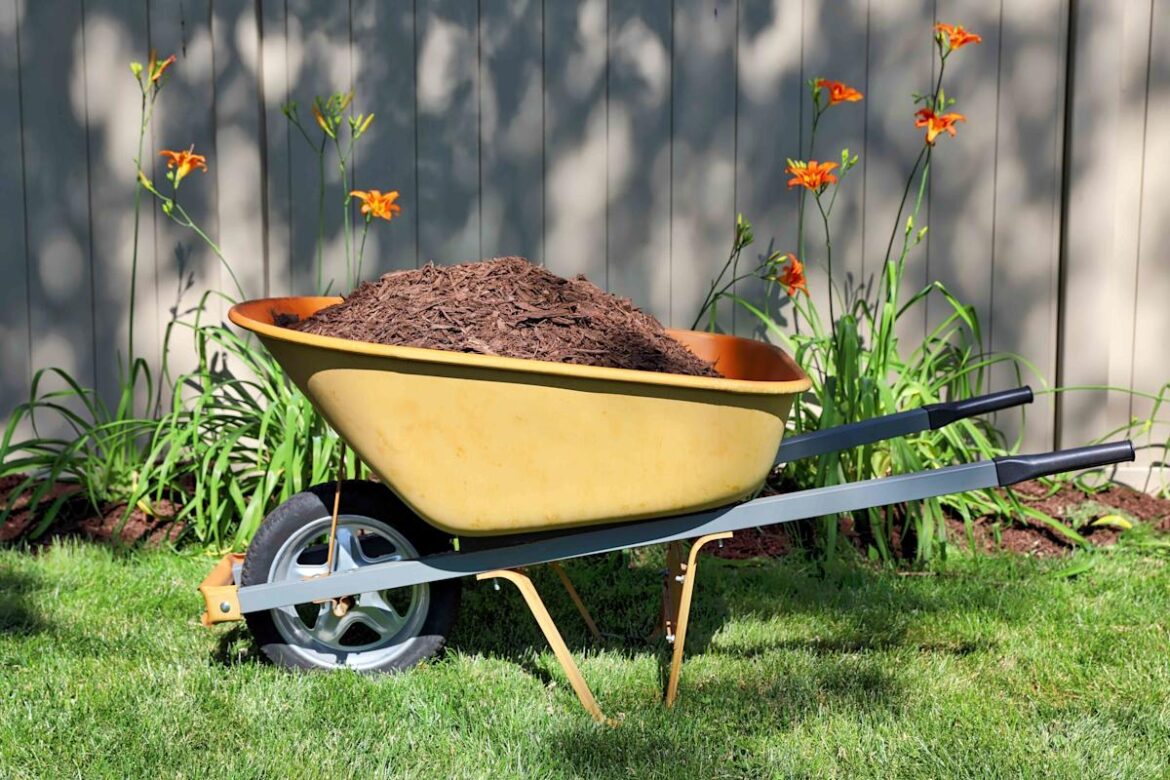 The Best Time To Mulch Your Garden To Stop Weeds Before They Start The Best Time To Mulch Your Garden To Stop Weeds Before They Start