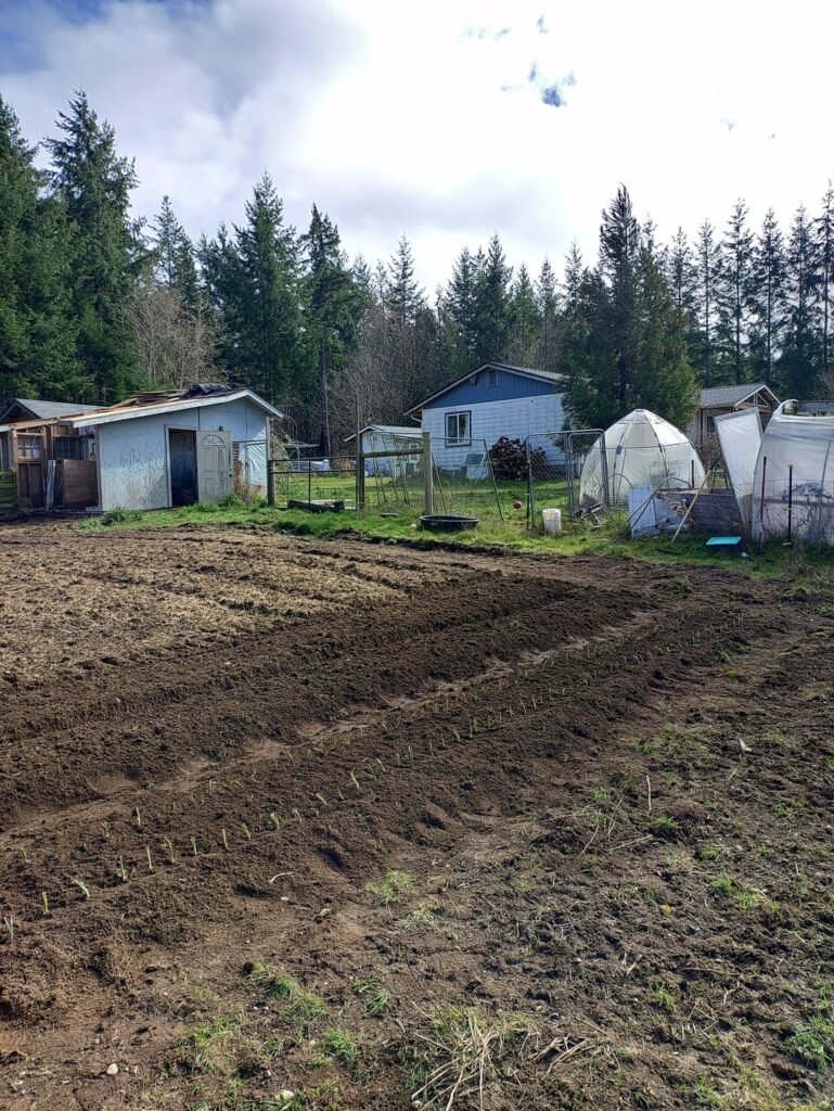 2 rows down 4 to go.