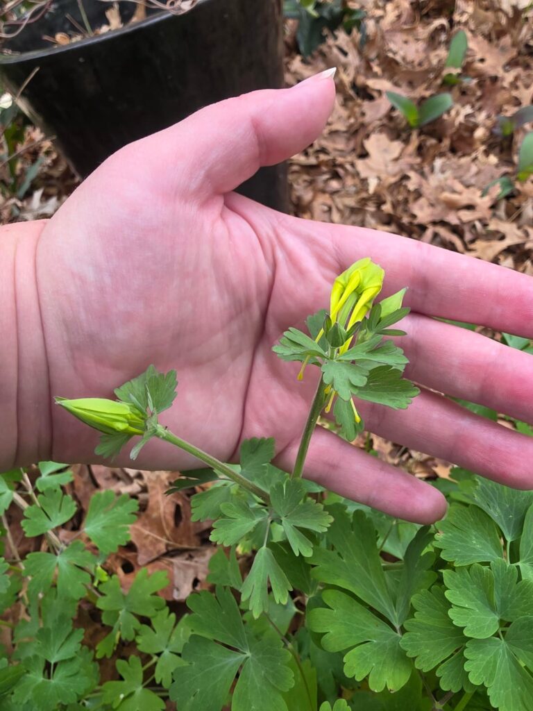 Spring is springing!