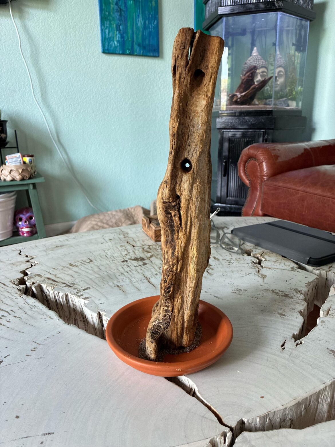 What plants could I grow on this?
