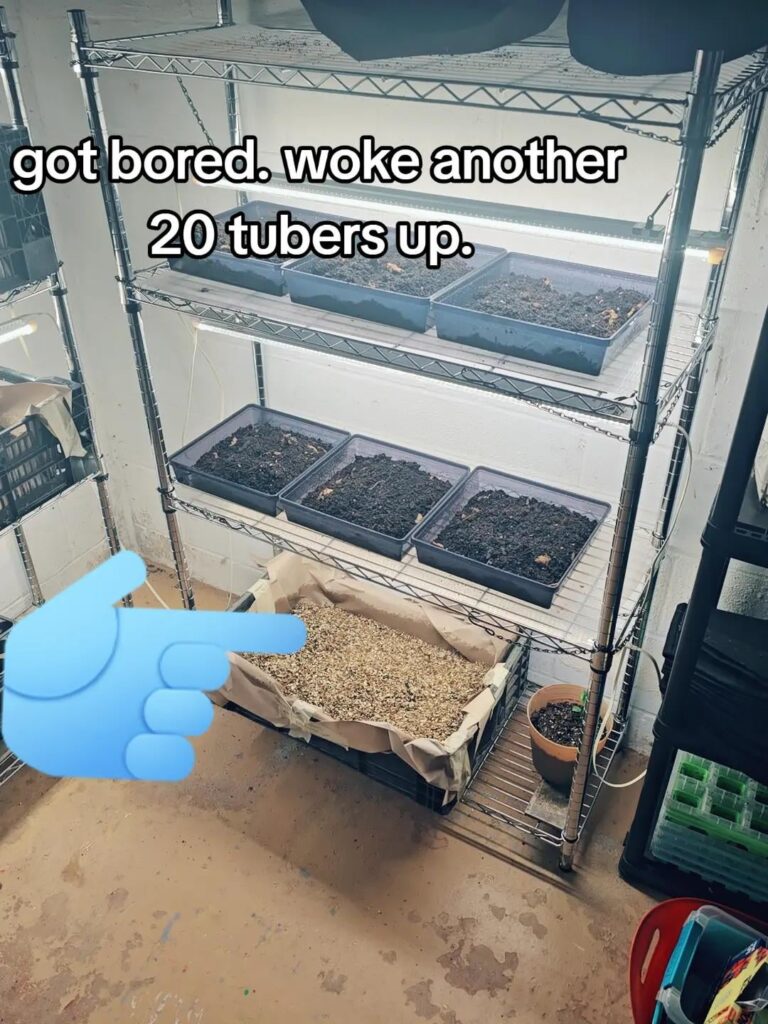 2026 6b season to date