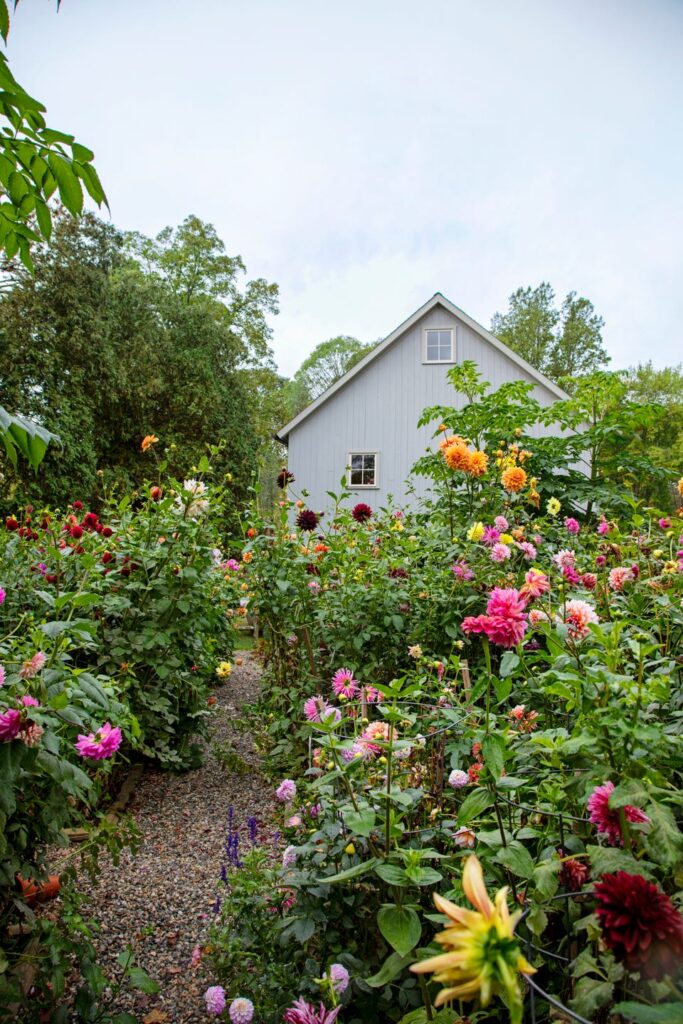The Secret to a Cottage Garden That Comes Back More Beautiful Every Year