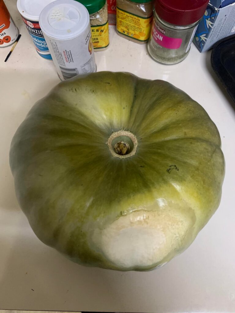 Found a pumpkin(?) in a ditch at work, want confirmation!