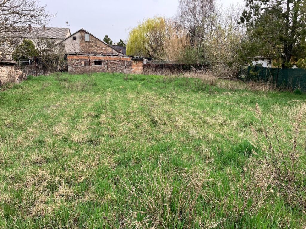Where should I start after mowing? Where should I start after mowing?