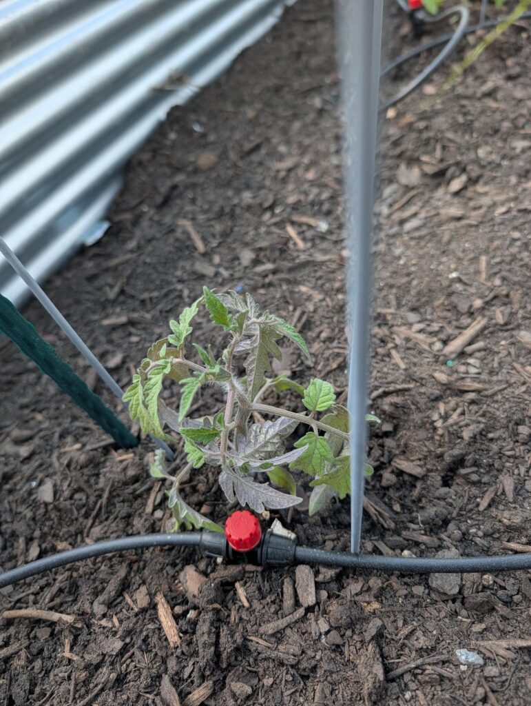 Guessing I didn’t harden enough, what now? Guessing I didn't harden enough, what now?