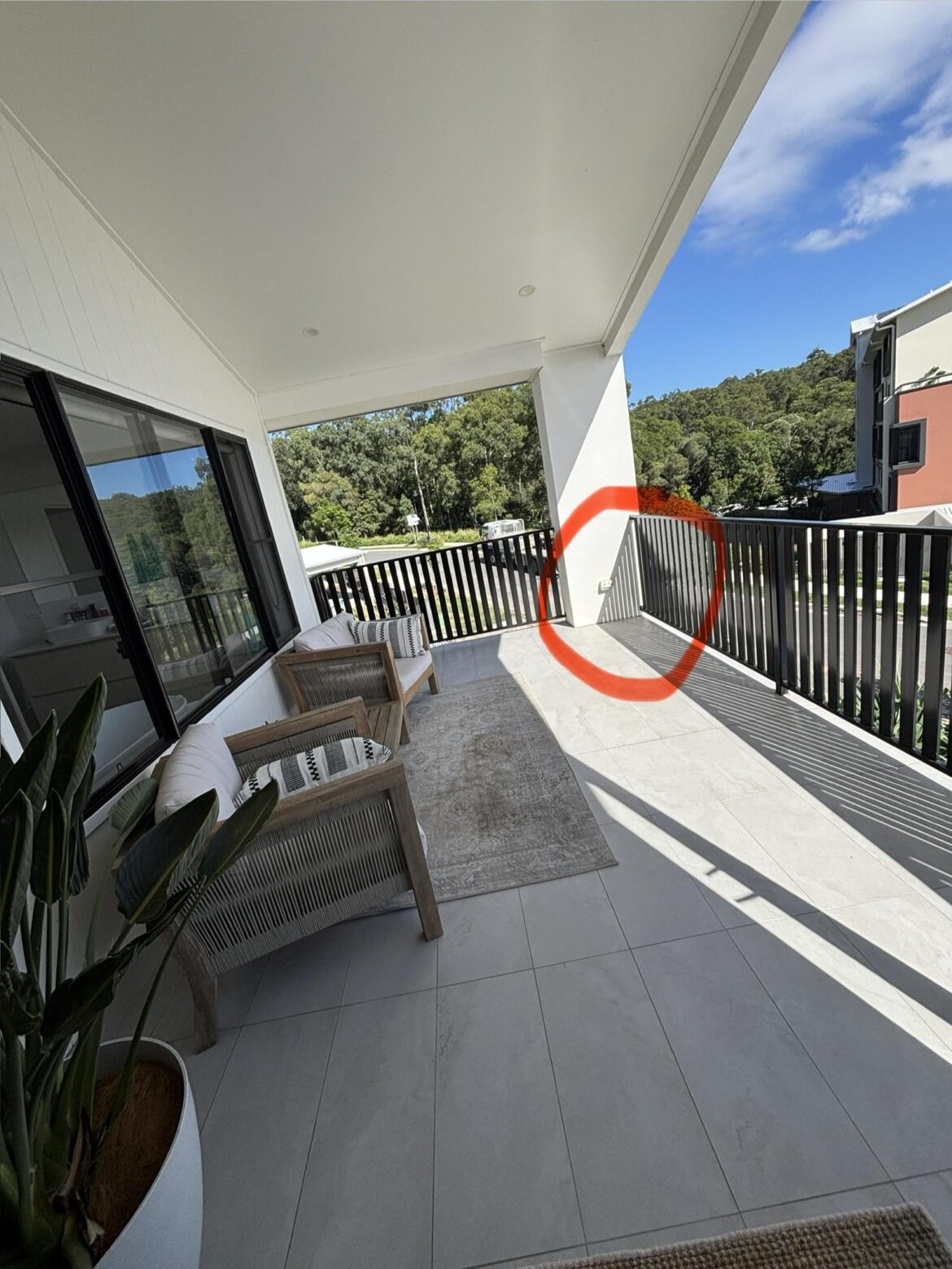 Suggestion for potted plants that can handle Brisbane sun! Suggestion for potted plants that can handle Brisbane sun!