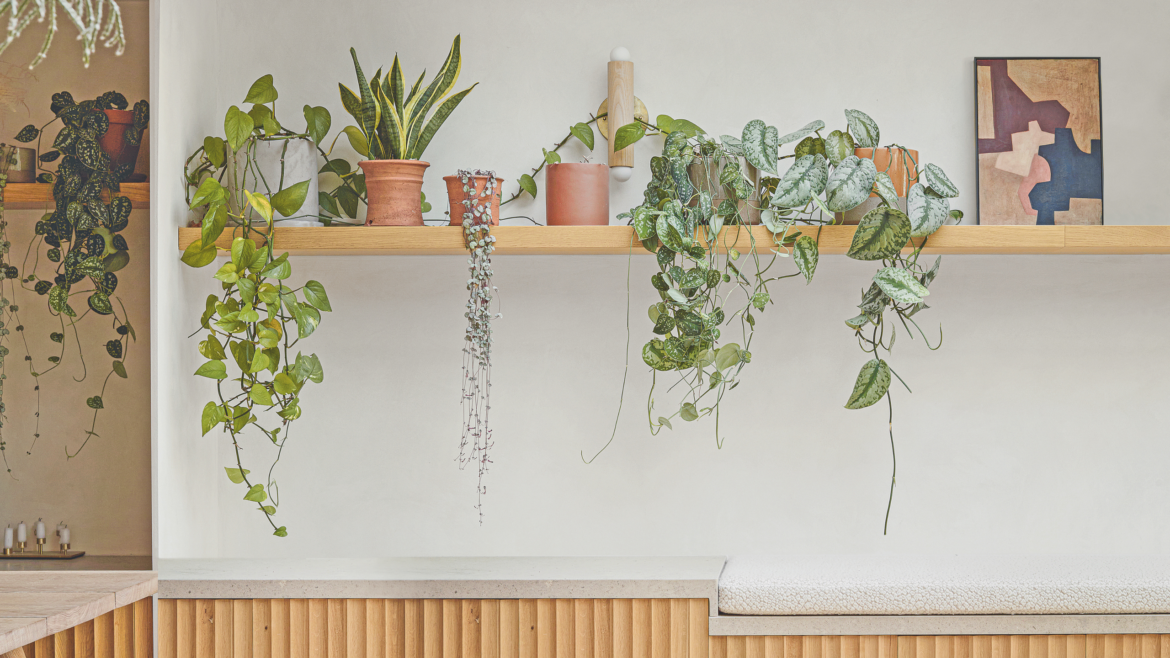 6 pretty plant pots to shop at Primark right now