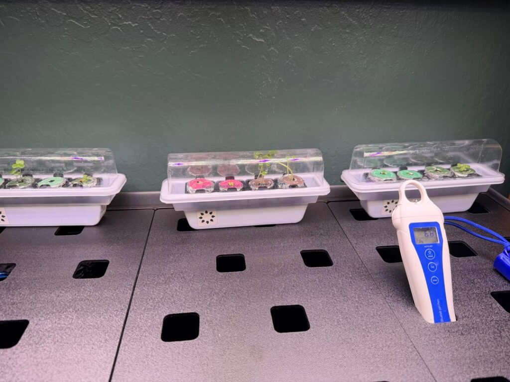 Looking for proper nutrients Looking for proper nutrients