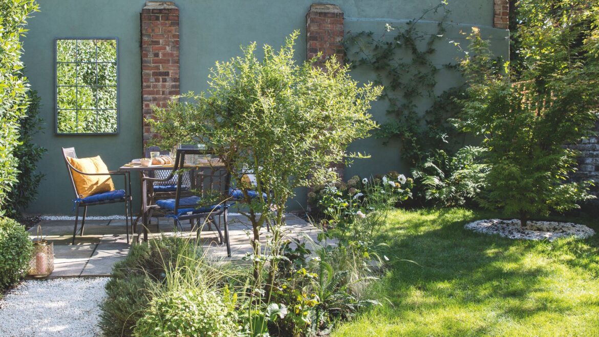 7 shade-loving perennials to brighten a gloomy garden 7 shade-loving perennials to brighten a gloomy garden