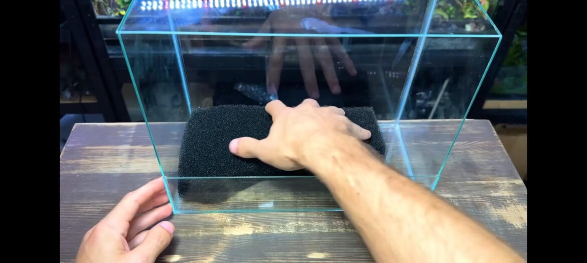 Beginner here. What's the purpose of this black sponge?